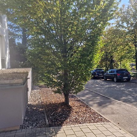 Sewer Apartment Baden-Baden Eksteriør billede